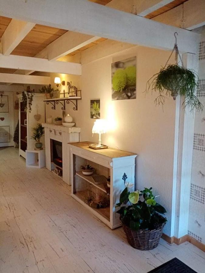 Gite Ferme La Rosee Blanche Laveline Exteriör bild
