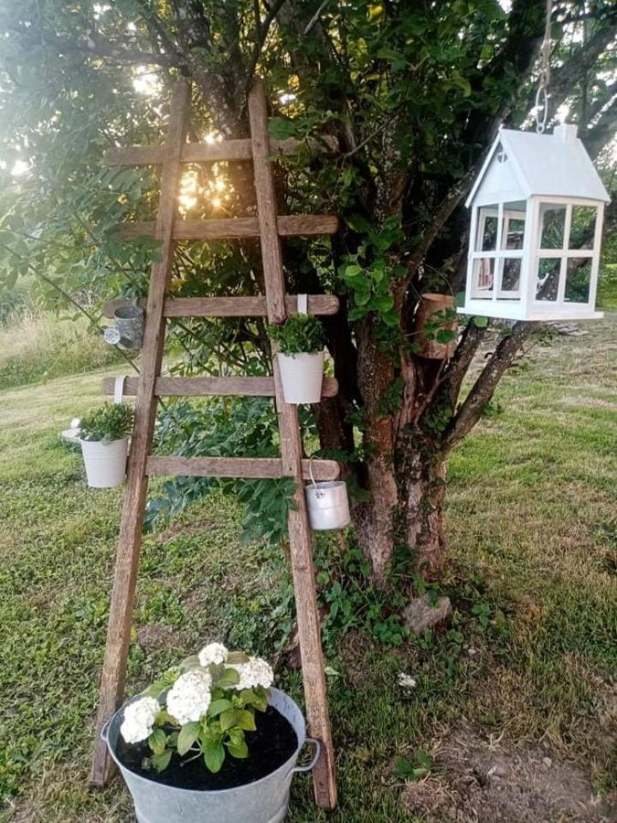Gite Ferme La Rosee Blanche Laveline Exteriör bild